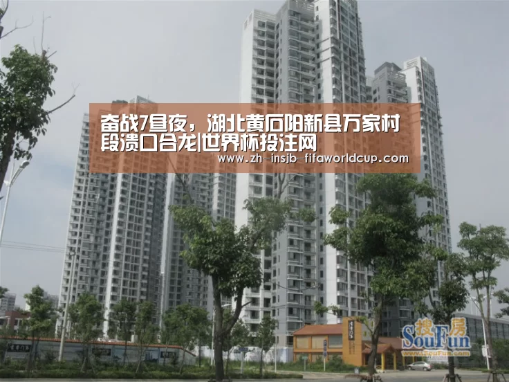 奋战7昼夜，湖北黄石阳新县万家村段溃口合龙|世界杯投注网