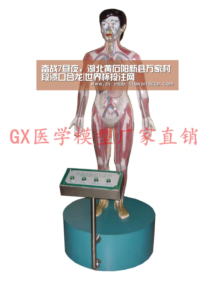 奋战7昼夜,湖北黄石阳新县万家村段溃口合龙|世界杯投注网(图2) 世界杯投注网