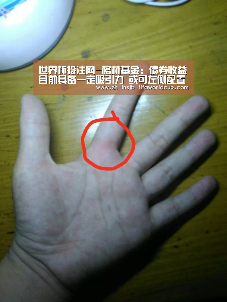 世界杯投注网