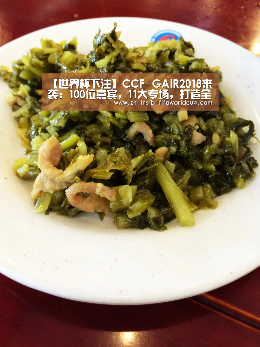【世界杯下注】CCF-GAIR2018来袭：100位嘉宾，1