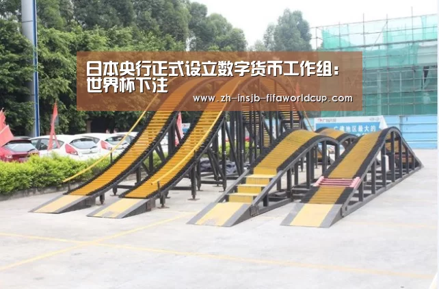 日本央行正式设立数字货币工作组：世界杯下注