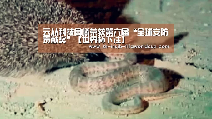 云从科技周曦荣获第六届“全球安防贡献奖”【世界杯下注】(图2) 世界杯投注网