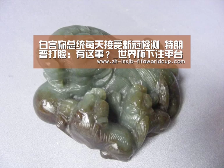 白宫称总统每天接受新冠检测 特朗普打脸：有这事？_世界杯下注