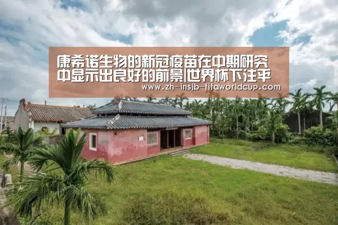 康希诺生物的新冠疫苗在中期研究中显示出良好的前景|世界杯下注